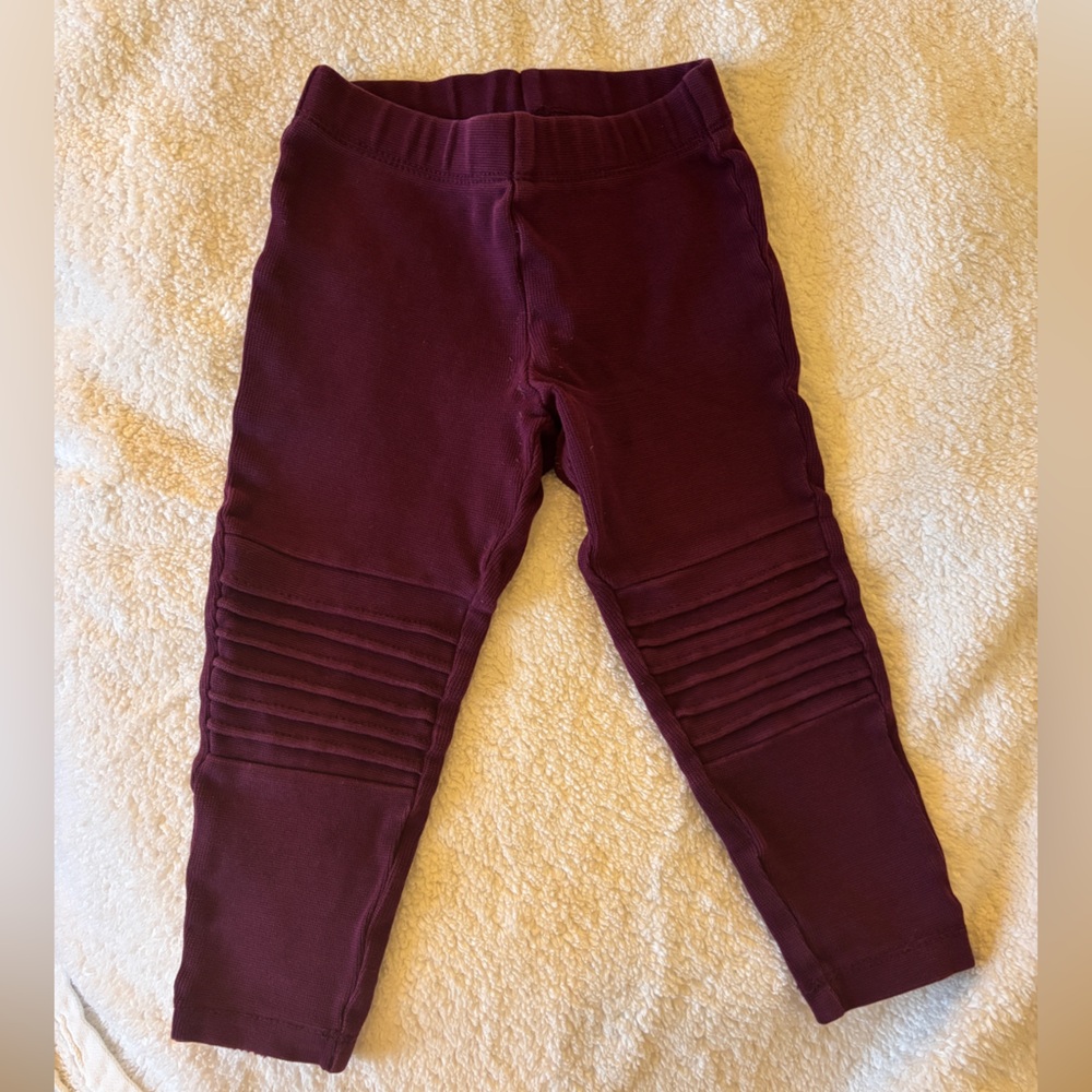 Tea Collection Burgundy Reinforced Knee Moto Pants